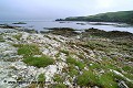 Loïc VAISSIERE rivages littoral littoraux paysages naturels anses baies rochers armeria maritimes maritima herbes fleurs temps gris bords mers nord iles archipels shetland ecosse royaume unis 