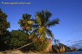 Loïc VAISSIERE paysages rochers granites palmiers sables plages soleil couchant roses bleus rivages littoral littoraux oceans indien mers iles archipels seychelles afrique 