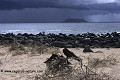 Anne VAISSIERE paysages littoral littoraux rivages mers ciels sombres plages sables rochers iles archipels galapagos equateur amerique sud oceans pacifique 