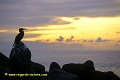 Loïc VAISSIERE paysages rivages littoral littoraux nuages calmes pieds bleus soleil couchant soirs jaunes iles archipels galapagos equateur amerique sud oceans pacifique 