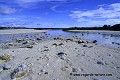 Loïc VAISSIERE paysages littoral littoraux rivages plages sables graviers iles archipels galapagos equateur amerique sud oceans pacifique 