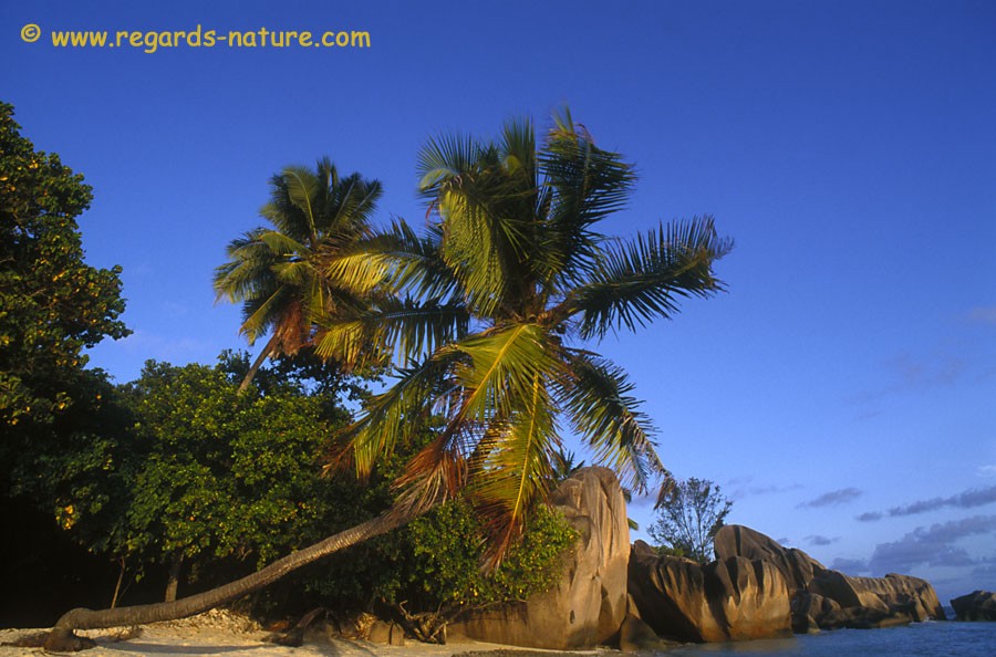 Anse source d’argent<br>(La Digue)