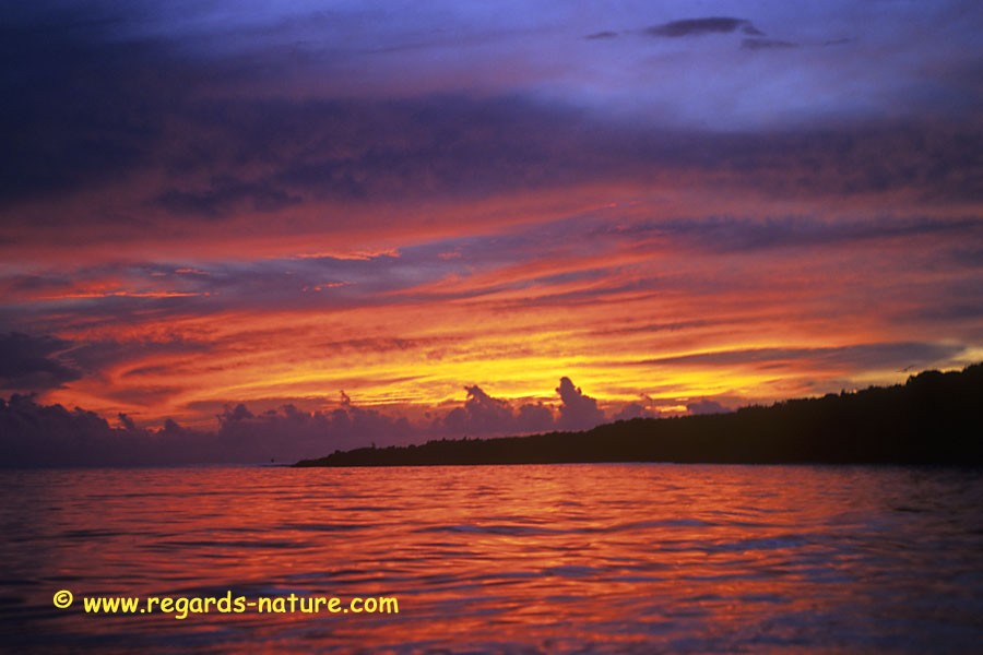 Coucher de soleil sur Isla lobos<br>(San cristobal)